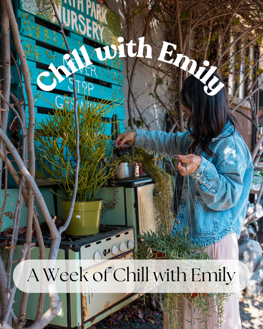 A Week of Chill with Emily: Post-Holiday Reset