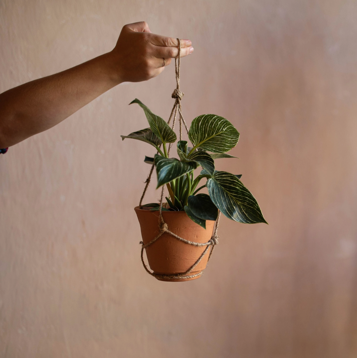 Eryk Hanging Terracotta & Jute Planter Pot