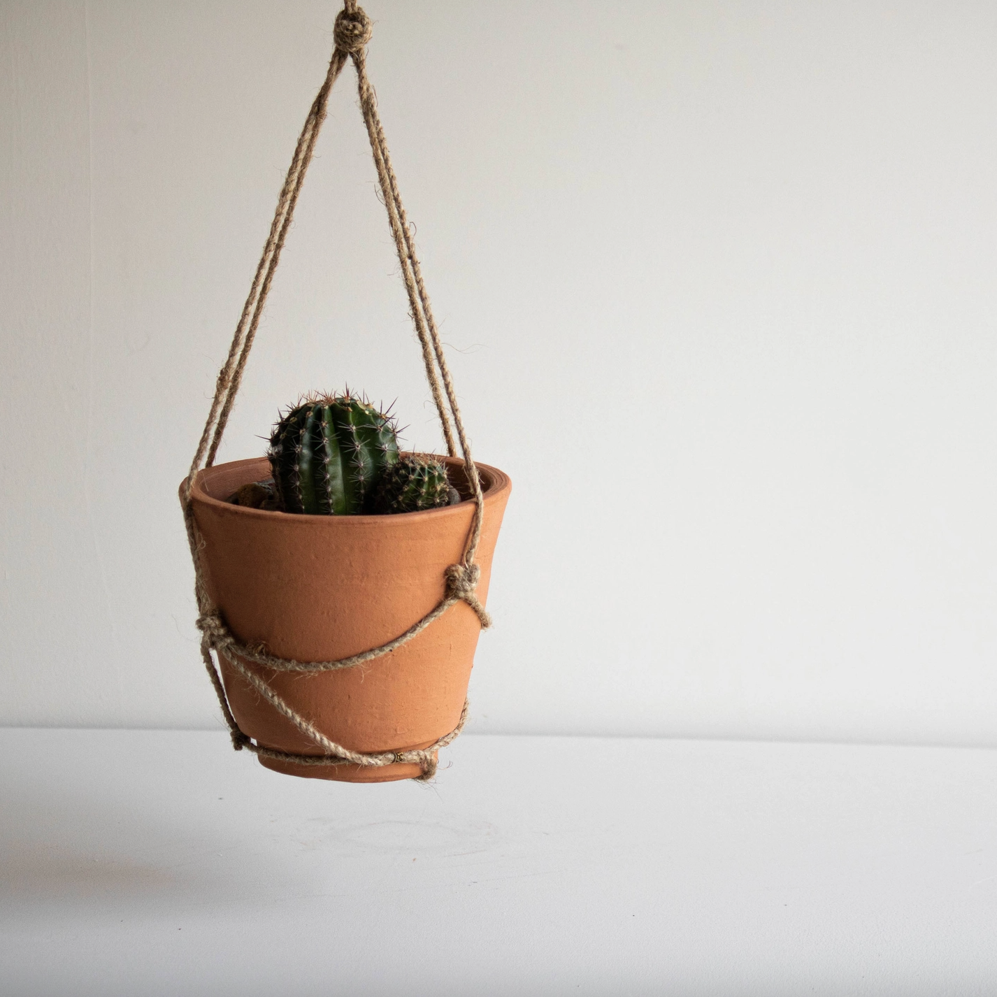 Eryk Hanging Terracotta & Jute Planter Pot